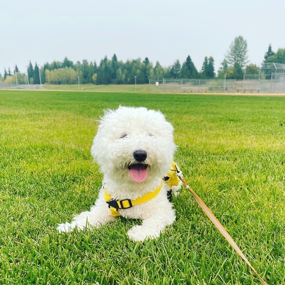 phoebe819